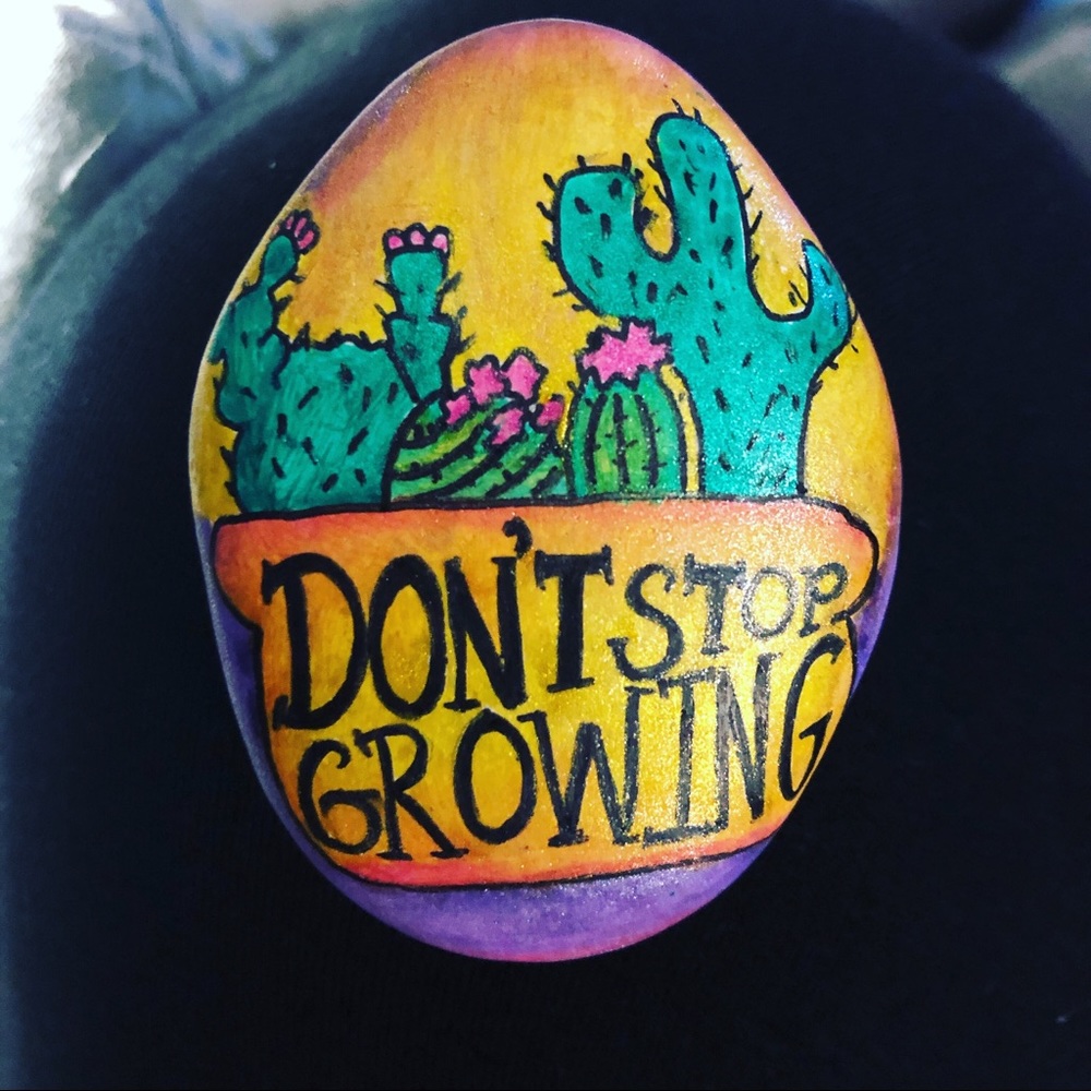 Painted Rock Decor